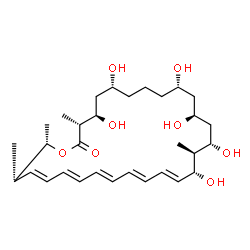 ChemSpider 2D Image | (3R,4R,6R,10S,12S,14S,15S,16R,17E,19E,21E,23E,25E,27S,28S)-4,6,10,12,14,16-Hexahydroxy-3,15,27,28-tetramethyloxacyclooctacosa-17,19,21,23,25-pentaen-2-one | C31H50O8