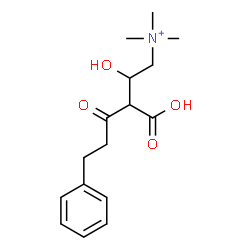 ChemSpider 2D Image | 3-Carboxy-2-hydroxy-N,N,N-trimethyl-4-oxo-6-phenyl-1-hexanaminium | C16H24NO4