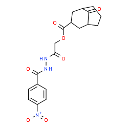 ChemSpider 2D Image | 2-[2-(4-Nitrobenzoyl)hydrazino]-2-oxoethyl 9-oxobicyclo[3.3.1]nonane-3-carboxylate | C19H21N3O7