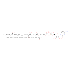 ChemSpider 2D Image | 5'-O-[Hydroxy({hydroxy[(2R)-2-[(11Z,14Z)-11,14-icosadienoyloxy]-3-{[(5S,6S,7Z,9Z,11E,13E,15R,17Z)-5,6,15-trihydroxy-7,9,11,13,17-icosapentaenoyl]oxy}propoxy]phosphoryl}oxy)phosphoryl]cytidine | C52H83N3O18P2