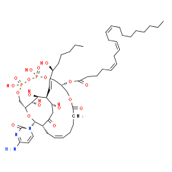 ChemSpider 2D Image | (1R,9R,16Z,19R,22R,23S,24S,25S,27R)-27-(4-Amino-2-oxo-1(2H)-pyrimidinyl)-4,6,22,24,25-pentahydroxy-23-[(1E,3S)-3-hydroxy-1-octen-1-yl]-4,6-dioxido-12,20-dioxo-3,5,7,11,26-pentaoxa-4,6-diphosphabicyclo
[17.6.2]heptacos-16-en-9-yl (5Z,8Z,11Z)-5,8,11-icosatrienoate | C52H83N3O18P2
