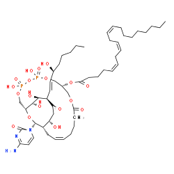 ChemSpider 2D Image | (1R,9R,16Z,19S,20S,23R,24S,25S,27R)-27-(4-Amino-2-oxo-1(2H)-pyrimidinyl)-4,6,20,24,25-pentahydroxy-23-[(1E,3S)-3-hydroxy-1-octen-1-yl]-4,6-dioxido-12,22-dioxo-3,5,7,11,26-pentaoxa-4,6-diphosphabicyclo
[17.6.2]heptacos-16-en-9-yl (5Z,8Z,11Z)-5,8,11-icosatrienoate | C52H83N3O18P2