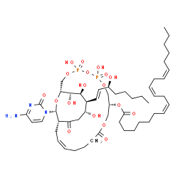 ChemSpider 2D Image | (1R,9R,16Z,19R,22R,23S,24S,25S,27R)-27-(4-Amino-2-oxo-1(2H)-pyrimidinyl)-4,6,22,24,25-pentahydroxy-23-[(1E,3S)-3-hydroxy-1-octen-1-yl]-4,6-dioxido-12,20-dioxo-3,5,7,11,26-pentaoxa-4,6-diphosphabicyclo
[17.6.2]heptacos-16-en-9-yl (8Z,11Z,14Z)-8,11,14-icosatrienoate | C52H83N3O18P2
