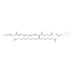 ChemSpider 2D Image | (2R)-2-[(17-Methyloctadecanoyl)oxy]-3-(phosphonooxy)propyl (5S,6S,7Z,9Z,11E,13E,15R,17Z)-5,6,15-trihydroxy-7,9,11,13,17-icosapentaenoate | C42H73O11P