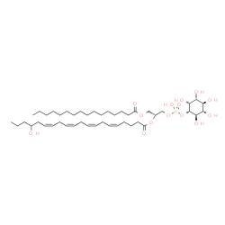 ChemSpider 2D Image | (2R)-1-[(Hydroxy{[(1S,2R,3R,4S,5S,6R)-2,3,4,5,6-pentahydroxycyclohexyl]oxy}phosphoryl)oxy]-3-(palmitoyloxy)-2-propanyl (5Z,8Z,11Z,14Z)-17-hydroxy-5,8,11,14-icosatetraenoate | C45H79O14P