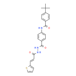 ChemSpider 2D Image | 4-(2-Methyl-2-propanyl)-N-[4-({2-[(2E)-3-(2-thienyl)-2-propenoyl]hydrazino}carbonyl)phenyl]benzamide | C25H25N3O3S