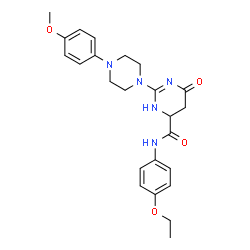 ChemSpider 2D Image | N-(4-ethoxyphenyl)-2-(4-(4-methoxyphenyl)piperazin-1-yl)-6-oxo-3,4,5,6-tetrahydropyrimidine-4-carboxamide | C24H29N5O4
