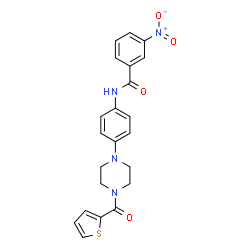 ChemSpider 2D Image | 3-Nitro-N-{4-[4-(2-thienylcarbonyl)-1-piperazinyl]phenyl}benzamide | C22H20N4O4S