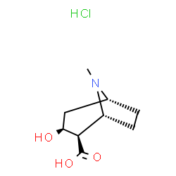 ChemSpider 2D Image | (1R,2R,3S,5R)-3-Hydroxy-8-methyl-8-azabicyclo[3.2.1]octane-2-carboxylic acid hydrochloride (1:1) | C9H16ClNO3