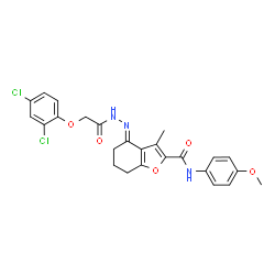 ChemSpider 2D Image | (4E)-4-{[(2,4-Dichlorophenoxy)acetyl]hydrazono}-N-(4-methoxyphenyl)-3-methyl-4,5,6,7-tetrahydro-1-benzofuran-2-carboxamide | C25H23Cl2N3O5