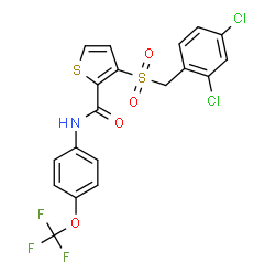 ChemSpider 2D Image | 3-[(2,4-Dichlorobenzyl)sulfonyl]-N-[4-(trifluoromethoxy)phenyl]-2-thiophenecarboxamide | C19H12Cl2F3NO4S2