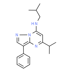 ChemSpider 2D Image | N-Isobutyl-5-isopropyl-3-phenylpyrazolo[1,5-a]pyrimidin-7-amine | C19H24N4
