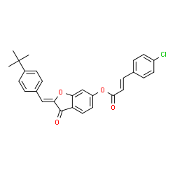ChemSpider 2D Image | (2Z)-2-[4-(2-Methyl-2-propanyl)benzylidene]-3-oxo-2,3-dihydro-1-benzofuran-6-yl (2E)-3-(4-chlorophenyl)acrylate | C28H23ClO4