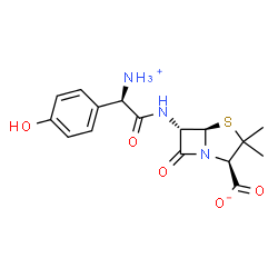 ChemSpider 2D Image | (2R,5R,6S)-6-{[(2R)-2-Ammonio-2-(4-hydroxyphenyl)acetyl]amino}-3,3-dimethyl-7-oxo-4-thia-1-azabicyclo[3.2.0]heptane-2-carboxylate | C16H19N3O5S