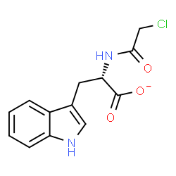 ChemSpider 2D Image | (2S)-2-[(Chloroacetyl)amino]-3-(1H-indol-3-yl)propanoate | C13H12ClN2O3
