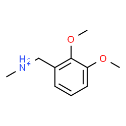 ChemSpider 2D Image | (2,3-Dimethoxyphenyl)-N-methylmethanaminium | C10H16NO2