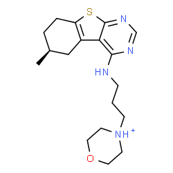 ChemSpider 2D Image | 4-(3-{[(6S)-6-Methyl-5,6,7,8-tetrahydro[1]benzothieno[2,3-d]pyrimidin-4-yl]amino}propyl)morpholin-4-ium | C18H27N4OS