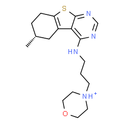 ChemSpider 2D Image | 4-(3-{[(6R)-6-Methyl-5,6,7,8-tetrahydro[1]benzothieno[2,3-d]pyrimidin-4-yl]amino}propyl)morpholin-4-ium | C18H27N4OS