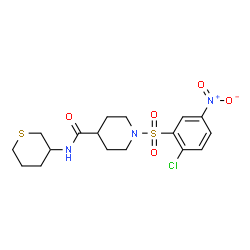 ChemSpider 2D Image | 1-[(2-Chloro-5-nitrophenyl)sulfonyl]-N-(tetrahydro-2H-thiopyran-3-yl)-4-piperidinecarboxamide | C17H22ClN3O5S2