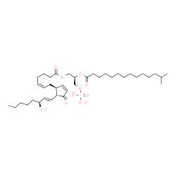 ChemSpider 2D Image | (2R)-2-[(13-Methyltetradecanoyl)oxy]-3-(phosphonooxy)propyl (5Z,13E,15S)-15-hydroxy-11-oxoprosta-5,9,13-trien-1-oate | C38H65O10P