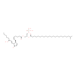 ChemSpider 2D Image | (2R)-2-[(22-Methyltricosanoyl)oxy]-3-(phosphonooxy)propyl (5Z,13E,15S)-15-hydroxy-11-oxoprosta-5,9,13-trien-1-oate | C47H83O10P