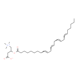 ChemSpider 2D Image | 3-[(9E,12E,15E,18E)-9,12,15,18-Tetracosatetraenoyloxy]-4-(trimethylammonio)butanoate | C31H53NO4