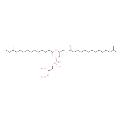 ChemSpider 2D Image | 20,23,24-Trihydroxy-2-methyl-20-oxido-14-oxo-15,19,21-trioxa-20lambda~5~-phosphatetracosan-17-yl 12-methyltetradecanoate | C36H71O10P