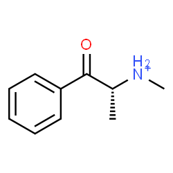 ChemSpider 2D Image | (2R)-N-Methyl-1-oxo-1-phenyl-2-propanaminium | C10H14NO