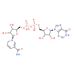 ChemSpider 2D Image | [[(2R,3S,4R,5R)-5-(5-carbamoyl-2H-pyridin-1-yl)-3,4-dihydroxy-tetrahydrofuran-2-yl]methoxy-hydroxy-phosphoryl] [(2R,3S,4R,5R)-3,4-dihydroxy-5-(6-oxo-1H-purin-9-yl)tetrahydrofuran-2-yl]methyl hydrogen phosphate | C21H28N6O15P2