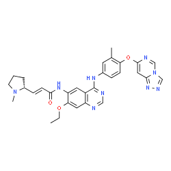ChemSpider 2D Image | (2E)-N-(7-Ethoxy-4-{[3-methyl-4-([1,2,4]triazolo[4,3-c]pyrimidin-7-yloxy)phenyl]amino}-6-quinazolinyl)-3-[(2R)-1-methyl-2-pyrrolidinyl]acrylamide | C30H31N9O3