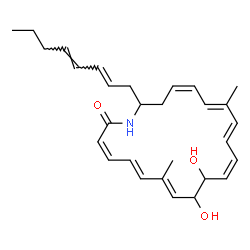 ChemSpider 2D Image | (3Z,5E,7E,11Z,13E,15E,17Z)-9,10-Dihydroxy-7,15-dimethyl-20-[(2E,4E)-2,4-octadien-1-yl]azacycloicosa-3,5,7,11,13,15,17-heptaen-2-one | C29H39NO3