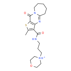 ChemSpider 2D Image | 4-(3-{[(2-Methyl-11-oxo-5,6,7,8,9,11-hexahydrothieno[3',2':4,5]pyrimido[1,2-a]azepin-3-yl)carbonyl]amino}propyl)morpholin-4-ium | C20H29N4O3S