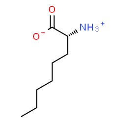 ChemSpider 2D Image | R-Capryline | C8H17NO2