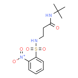 ChemSpider 2D Image | N-(2-Methyl-2-propanyl)-N~3~-[(2-nitrophenyl)sulfonyl]-beta-alaninamide | C13H19N3O5S