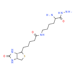 ChemSpider 2D Image | N-(5-Amino-6-hydrazino-6-oxohexyl)-5-[(3aS,6aR)-2-oxohexahydro-1H-thieno[3,4-d]imidazol-4-yl]pentanamide | C16H30N6O3S