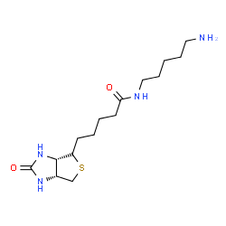 ChemSpider 2D Image | N-(5-Aminopentyl)-5-[(3aS,6aR)-2-oxohexahydro-1H-thieno[3,4-d]imidazol-4-yl]pentanamide | C15H28N4O2S