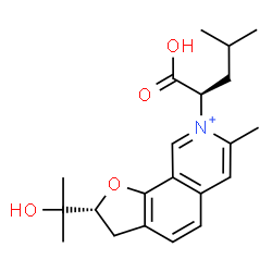 ChemSpider 2D Image | (2R)-8-[(1R)-1-Carboxy-3-methylbutyl]-2-(2-hydroxy-2-propanyl)-7-methyl-2,3-dihydrofuro[3,2-h]isoquinolin-8-ium | C21H28NO4