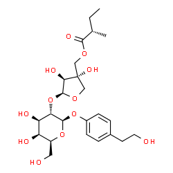 ChemSpider 2D Image | 4-(2-Hydroxyethyl)phenyl 2-O-[(2S,3S,4S)-3,4-dihydroxy-4-({[(2S)-2-methylbutanoyl]oxy}methyl)tetrahydro-2-furanyl]-beta-L-galactopyranoside | C24H36O12