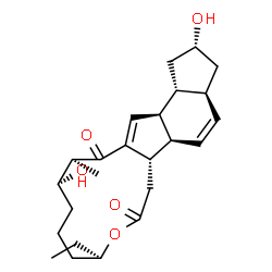ChemSpider 2D Image | (2R,3aS,5aR,5bS,9R,13R,14S,16aS,16bR)-9-Ethyl-2,13-dihydroxy-14-methyl-2,3,3a,5a,5b,6,9,10,11,12,13,14,16a,16b-tetradecahydro-1H-as-indaceno[3,2-d]oxacyclododecine-7,15-dione | C24H34O5