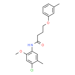 ChemSpider 2D Image | N-(4-Chloro-2-methoxy-5-methylphenyl)-4-(3-methylphenoxy)butanamide | C19H22ClNO3