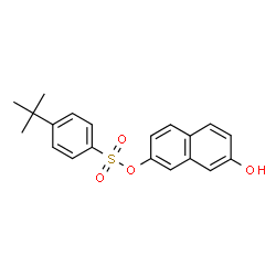 ChemSpider 2D Image | 7-Hydroxy-2-naphthyl 4-(2-methyl-2-propanyl)benzenesulfonate | C20H20O4S