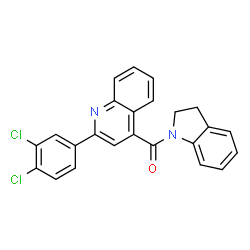 ChemSpider 2D Image | [2-(3,4-Dichlorophenyl)-4-quinolinyl](2,3-dihydro-1H-indol-1-yl)methanone | C24H16Cl2N2O