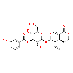 ChemSpider 2D Image | (4aS,5R,6S)-1-Oxo-5-vinyl-4,4a,5,6-tetrahydro-1H,3H-pyrano[3,4-c]pyran-6-yl 3-O-(3-hydroxybenzoyl)-beta-D-glucopyranoside | C23H26O11