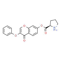 ChemSpider 2D Image | (2R)-2-{[(4-Oxo-3-phenoxy-4H-chromen-7-yl)oxy]carbonyl}pyrrolidinium | C20H18NO5