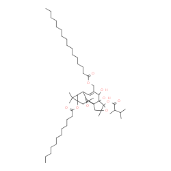 ChemSpider 2D Image | {5-[(2,3-Dimethylbutanoyl)oxy]-13-(dodecanoyloxy)-6,7-dihydroxy-3,12,12,15-tetramethyl-16-oxo-4-oxapentacyclo[8.5.1.0~1,6~.0~3,5~.0~11,13~]hexadec-8-en-8-yl}methyl palmitate | C54H90O10