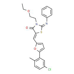 ChemSpider 2D Image | (2E,5Z)-5-{[5-(5-Chloro-2-methylphenyl)-2-furyl]methylene}-3-(2-ethoxyethyl)-2-(phenylimino)-1,3-thiazolidin-4-one | C25H23ClN2O3S