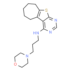 ChemSpider 2D Image | N-[3-(4-Morpholinyl)propyl]-6,7,8,9-tetrahydro-5H-cyclohepta[4,5]thieno[2,3-d]pyrimidin-4-amine | C18H26N4OS