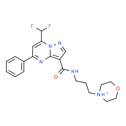 ChemSpider 2D Image | 4-[3-({[7-(Difluoromethyl)-5-phenylpyrazolo[1,5-a]pyrimidin-3-yl]carbonyl}amino)propyl]morpholin-4-ium | C21H24F2N5O2