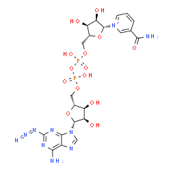 ChemSpider 2D Image | [(2R,3S,4R,5R)-5-(6-amino-2-azido-purin-9-yl)-3,4-dihydroxy-tetrahydrofuran-2-yl]methyl [[(2R,3S,4R,5R)-5-(3-carbamoylpyridin-1-ium-1-yl)-3,4-dihydroxy-tetrahydrofuran-2-yl]methoxy-hydroxy-phosphoryl] hydrogen phosphate | C21H27N10O14P2