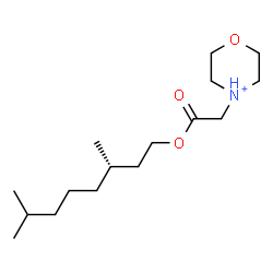 ChemSpider 2D Image | 4-(2-{[(3S)-3,7-Dimethyloctyl]oxy}-2-oxoethyl)morpholin-4-ium | C16H32NO3